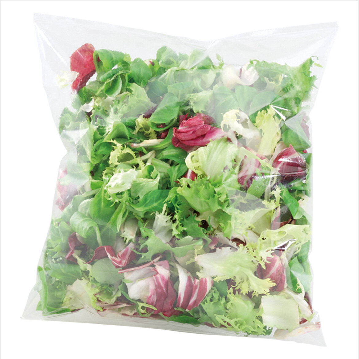 Fresh mixed salad in sealed transparent plastic packaging bag